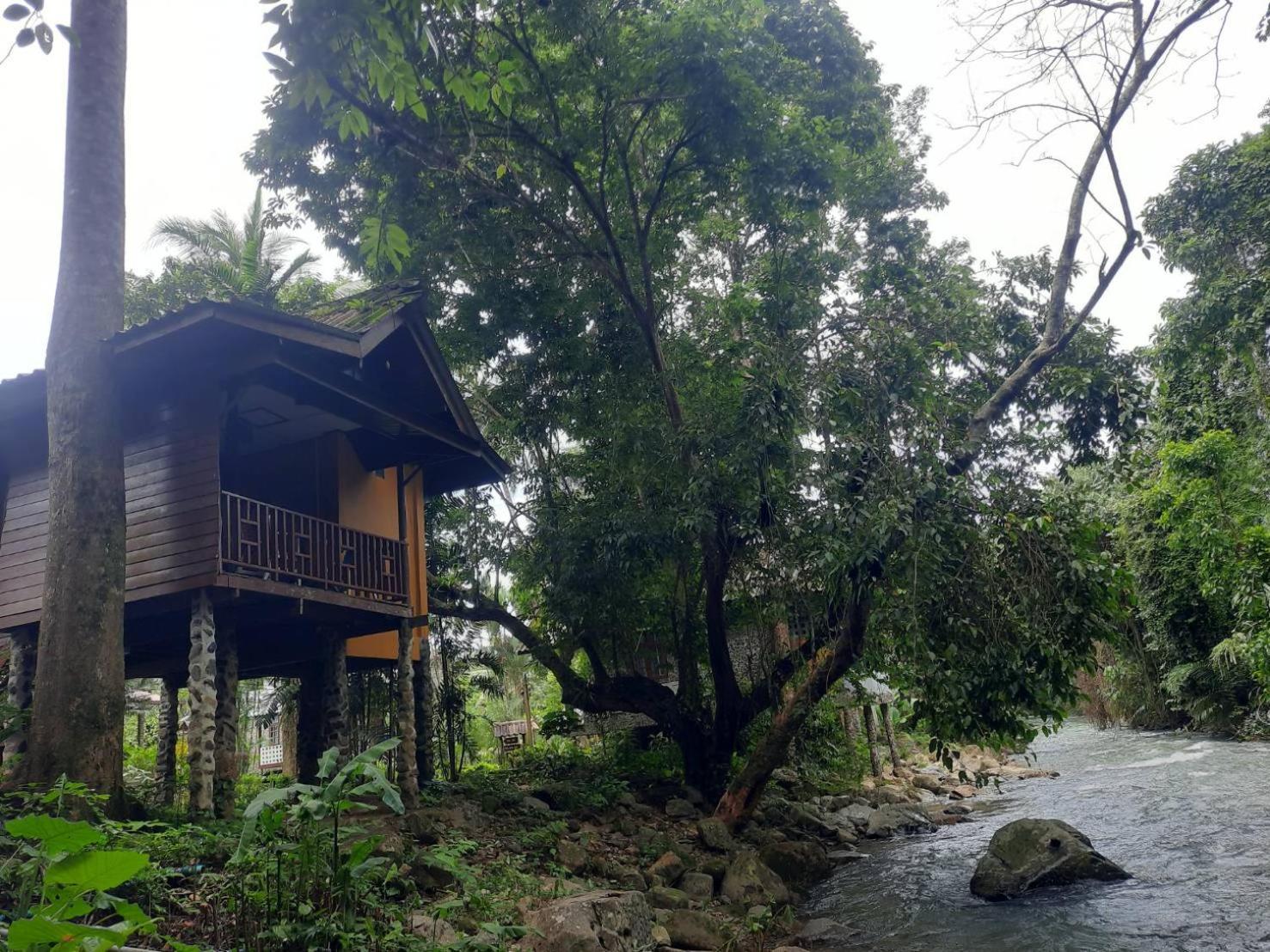Tree Tops River Huts Khao Sok National Park Extérieur photo